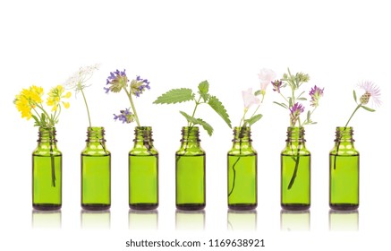 Natural Remedies, Aromatherapy - Bottle. Bottles Of Essential Oil With Herbs Holy Flower.