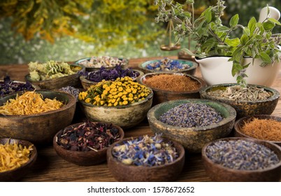 Natural remedy,Herbal medicine and wooden table background - Shutterstock ID 1578672652