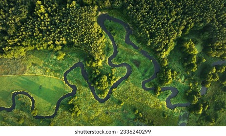 Natural river between the forest - aerial high view 
