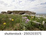 Natural rock arch of Arches Provincial Park at Portland Creek on the coast of Newfoundland