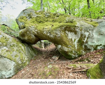 Natural rock formation in lush, green forest. Moss-covered boulder forms archway, creating a tunnel-like passage beneath it. Ground covered with leaves. Carpathian mountains, Ukraine. - Powered by Shutterstock