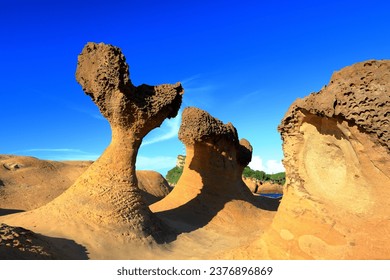 Natural rock formation at Yehliu Geopark, one of most famous wonders in Wanli, New Taipei City, Taiwan.