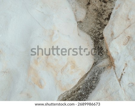 Natural Rock Texture with Unique Patterns, This image captures a close-up of a rock surface showcasing unique textures and natural patterns.