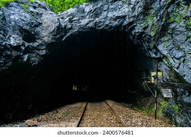 A natural rock-cut railway tunnel in Goa's lush forest, seamlessly blending with nature. - Powered by Shutterstock