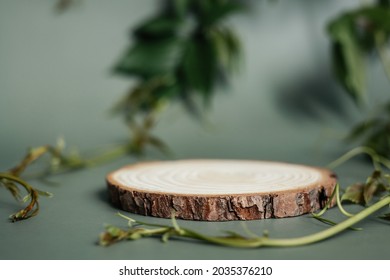 Natural round wooden stand for presentation and exhibitions on dark green background with shadow. Mock up 3d empty podium with green leaves for organic cosmetic product. Copy space.