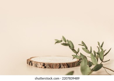 Natural round wooden stand for presentation and exhibitions on pastel beige background. Mock up 3d empty podium with green leaves for organic cosmetic product. Copy space.