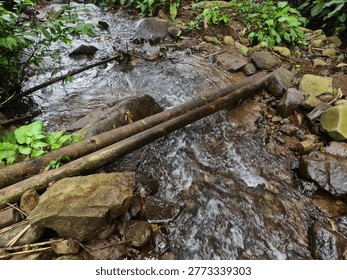 A natural rustic bridge made of two fallen tree trunks crossing over a rocky freshwater stream. Clear water flows over stones in a dense tropical forest environment.