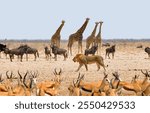 A natural scene depicting multiple animals coexisting in their habitat, such as a jungle or savanna environment.
