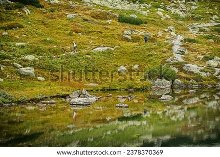 Natural scene with tarn in Mlynicka valley, High Tatras mountain, Slovak republic. Hiking theme. Stock photo © 