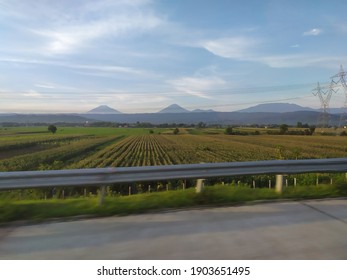 natural scenery from the inside of the toll road which shows the breadth of fruit plantations and beautiful forests, the atmosphere in the morning with blue clouds in Indonesia.