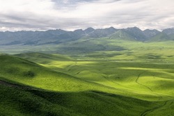 Paysage Naturel De La Prairie De Narat Au Xinjiang (Traduction:prairie Du Ciel Narati)