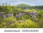 Natural Scenic Rock in Daniel Boone National Forest