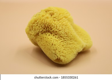 Natural Sea Sponge On Soft Pink Background.