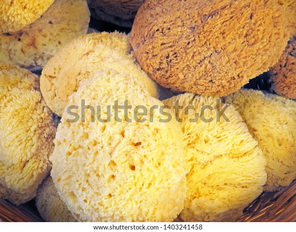 natural sponges for cleaning
