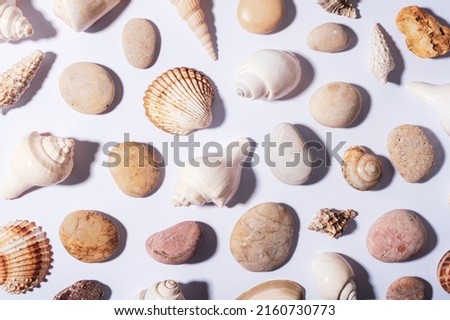 Natural seashells and sea stones pattern background, texture.