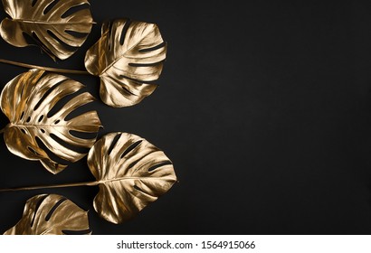 Natural Shiny Monstera Leaves Spray Painted With Golden Metallic Paint On Dark Deep Black Background. Trendy Creative Modern Summer Fashion Concept. Tropical Pattern With Copyspace.