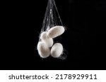 Natural silkworm cocoons isolated on black background