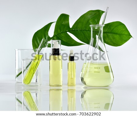 Natural skin care beauty products, Natural organic botany extraction and scientific glassware, Blank label cosmetic container for branding mock-up.