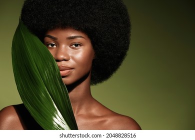 Natural skin care concept. Beauty portrait of young beautiful african american woman with posing with leaf curly hair against green exotixc plants background. 