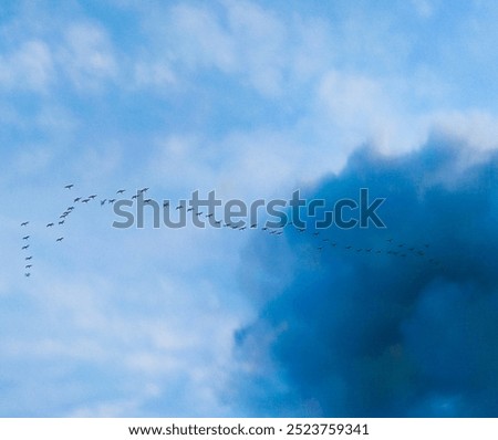 Natural sky objects can be used for the needs of the photo industry media, PC backgrounds, apps, and social media.