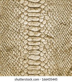 Natural Snake Skin Closeup Stock Photo 166435445 