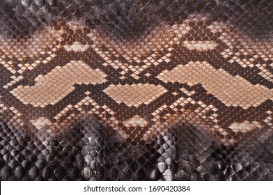 Seamless Vector Snake Animal Skin Pattern Stock Vector (Royalty Free ...