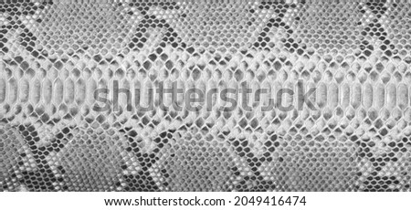 Natural snake skin is used for luxury clothes and accessories, suitable for background