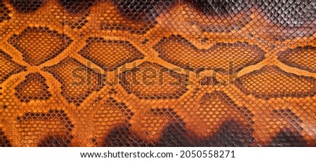 Natural snake skin is used for luxury clothes and accessories, suitable for background
