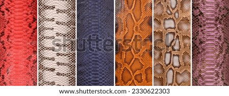 Natural snake skin in various colors, luxury clothing and accessories suitable for photo collage, website header banner
