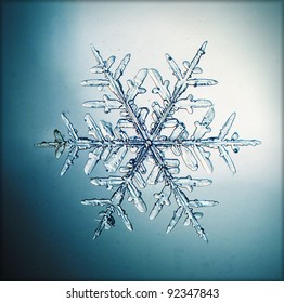 Natural Snowflake Macro