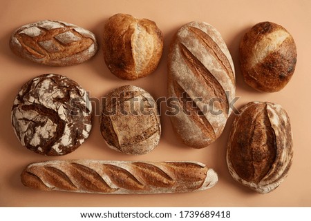 Similar – Image, Stock Photo baked round rye bread with sunflower seeds