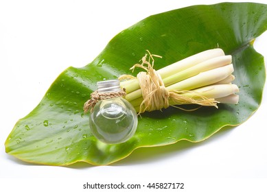 Natural Spa Ingredients Lemongrass Essential Oil With Aromatherapy