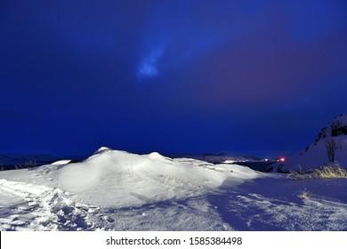 Natural Species On A Winter Polar Night In The Russian Arctic