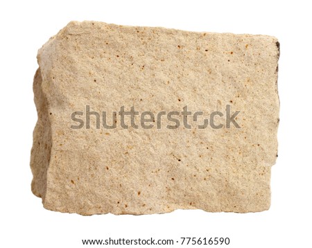 Natural specimen of foraminiferal ooze limestone - organogenic sedimentary rock, relatively soft and porous variety of limestone, used for the interiors, reliefs, carvings and sculpture, on white