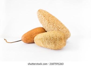 Natural Spong Natural Product, Dry Luffa Fruit And Sponge On White Background