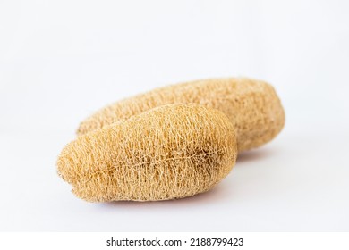 Natural Spong Natural Product, Dry Luffa Fruit And Sponge On White Background
