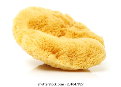 Natural Sponge On White Background