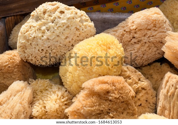 Natural\
sponge.Natural sea sponges for cleaning and washing closeup.Spa and\
Wellness- anti-cellulitis spa massage brush, sponge, towel and\
soap.Sea sponges for sale at a\
market