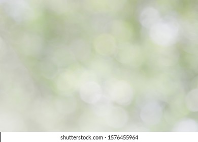 Grey Green Background Hd Stock Images Shutterstock