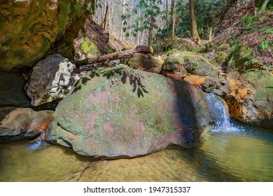 Natural Spring In The Daniel Boone National Forest