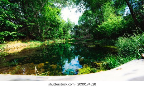 Natural Spring Gila National Forest