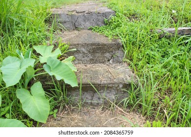 Natural Stepping Path - Stairs From Black River Stone Material