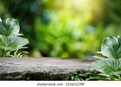 Natural stone and concrete podium in Natural green background for Empty show for packaging product presentation. Background for cosmetic products, the scene with green leaves. Mock up the pedestal. - Shutterstock ID 2156212789