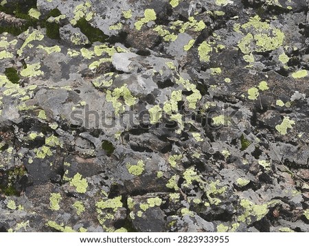 Natural stone surface patter background