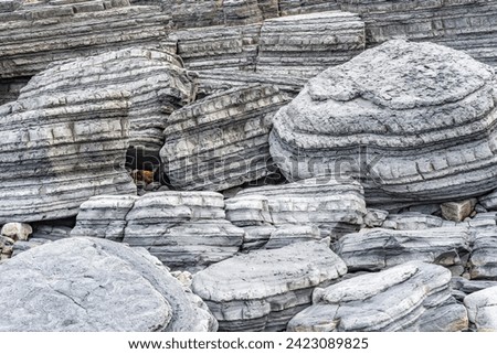 Natural Striations in Coastal Boulders near Aberystwyth