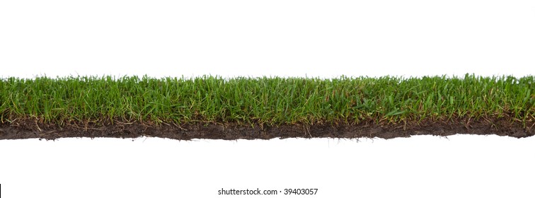 Natural Strip Of Grass With Roots And Dirt, Isolated On A White Background