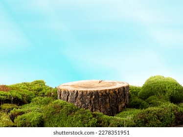 natural style. Wooden saw cut, round podium with green moss on a white background. Still life for the presentation of products. Blurred foreground  - Powered by Shutterstock