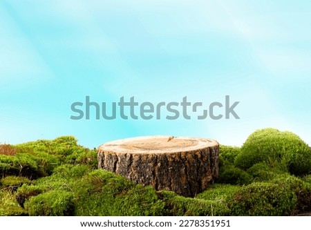 natural style. Wooden saw cut, round podium with green moss on a white background. Still life for the presentation of products. Blurred foreground 