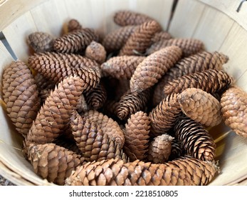 Natural Sugar Pine Cone Basket