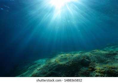 海底的圖片 庫存照片和向量圖 Shutterstock